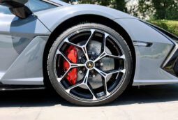 
										Lamborghini Revuelto 2024 full									